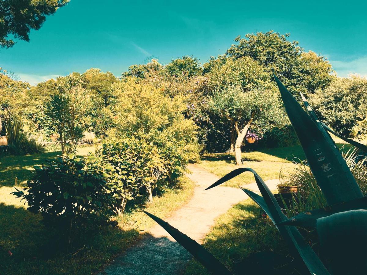 Quinta Das Almas Sao Roque do Pico Luaran gambar