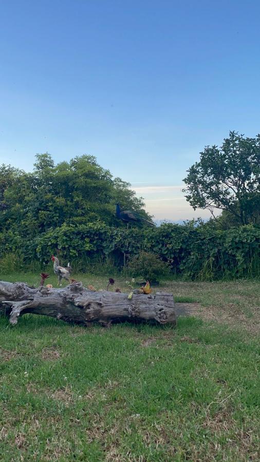 Quinta Das Almas Sao Roque do Pico Luaran gambar